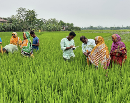 FAO champions mechanization for small-scale farmers through farmer field schools